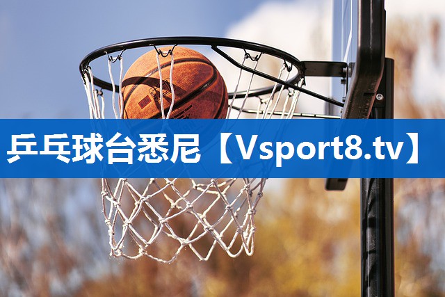 乒乓球台悉尼