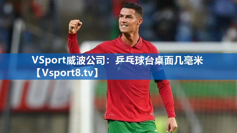 <strong>VSport威波公司：乒乓球台桌面几毫米</strong>