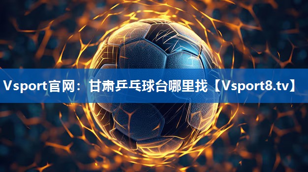 <strong>Vsport官网：甘肃乒乓球台哪里找</strong>