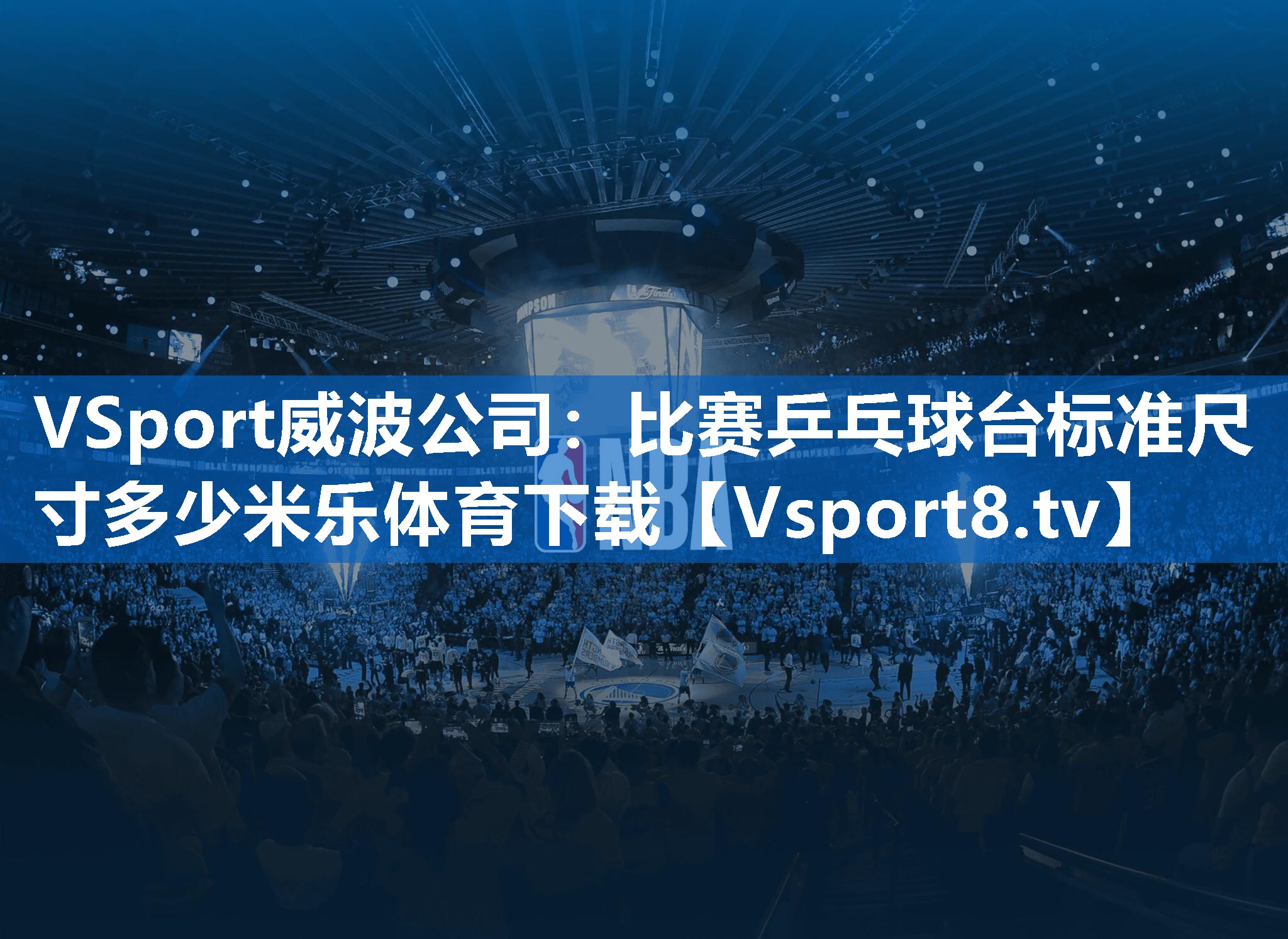 VSport威波公司：比赛乒乓球台标准尺寸多少米乐体育下载