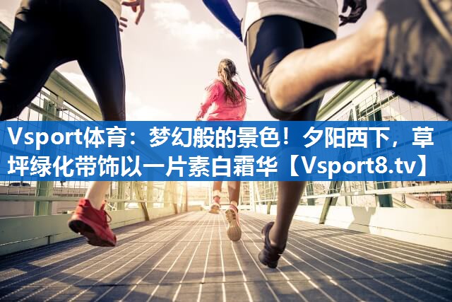 Vsport体育：梦幻般的景色！夕阳西下，草坪绿化带饰以一片素白霜华